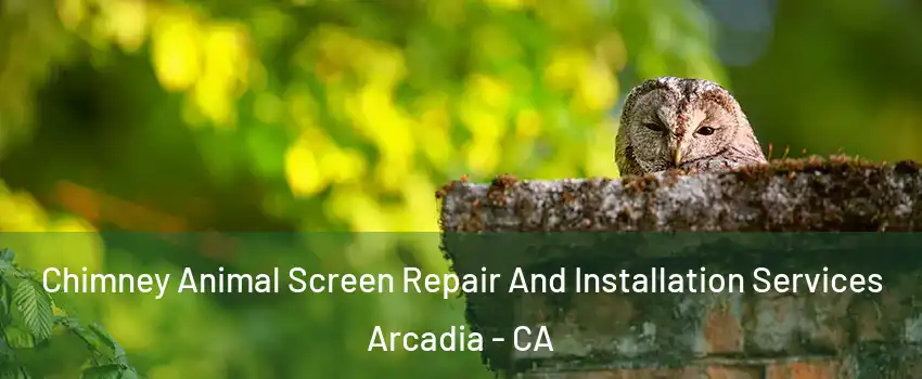  Chimney Animal Screen Repair And Installation Services Arcadia - CA
