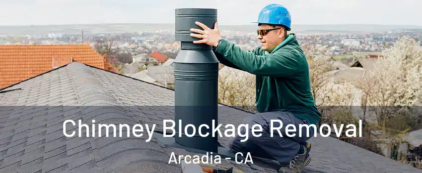  Chimney Blockage Removal Arcadia - CA