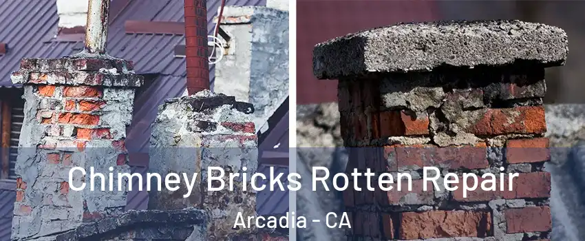  Chimney Bricks Rotten Repair Arcadia - CA