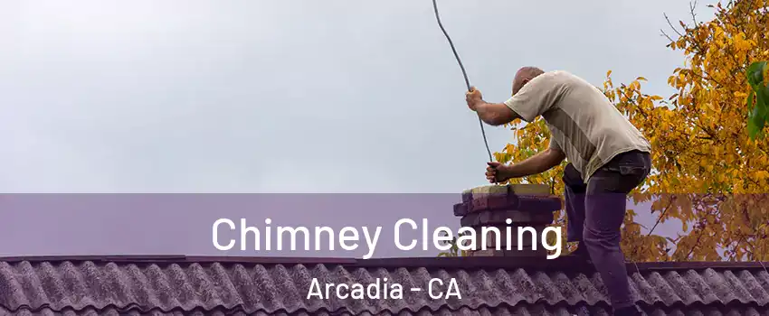  Chimney Cleaning Arcadia - CA