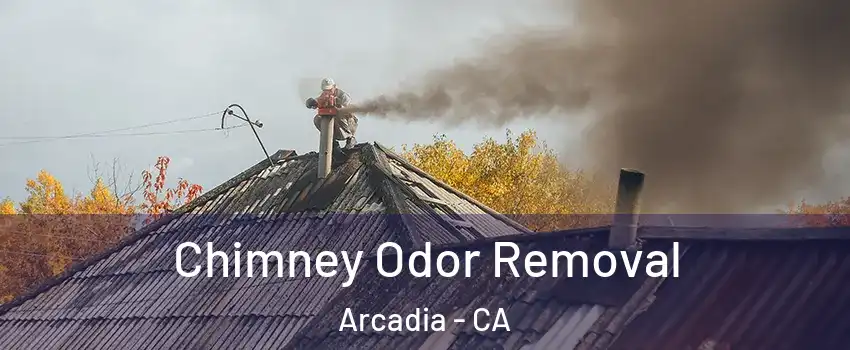 Chimney Odor Removal Arcadia - CA