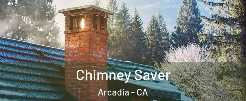  Chimney Saver Arcadia - CA