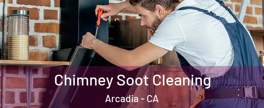  Chimney Soot Cleaning Arcadia - CA