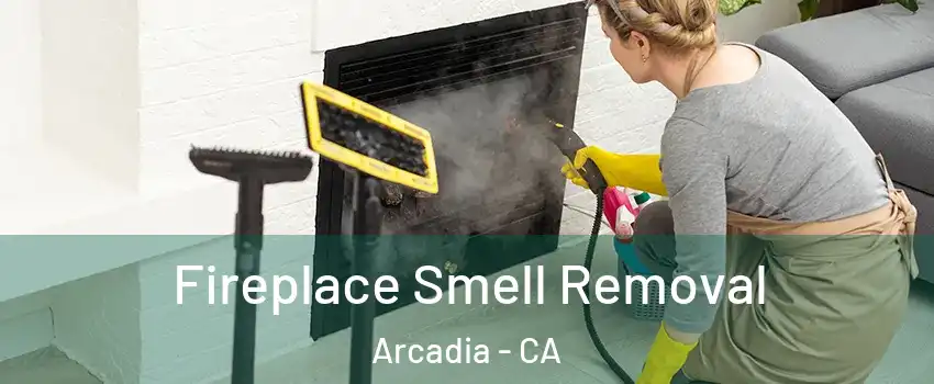  Fireplace Smell Removal Arcadia - CA