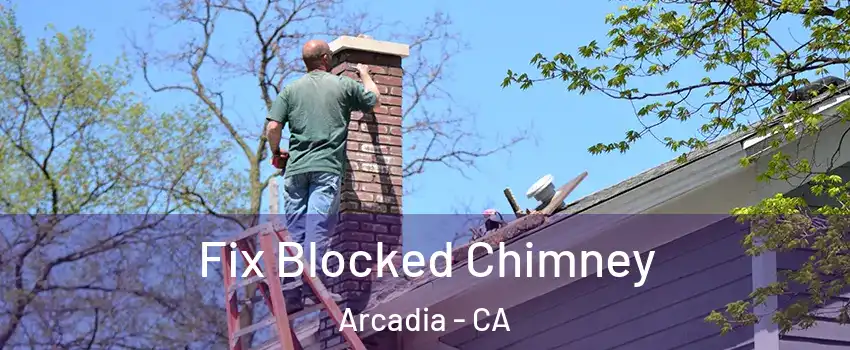  Fix Blocked Chimney Arcadia - CA