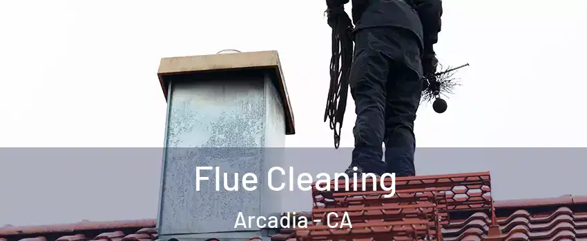  Flue Cleaning Arcadia - CA