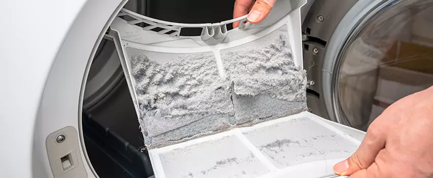 Best Dryer Lint Removal Company in Arcadia, California