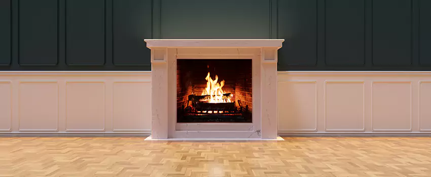 Napoleon Electric Fireplaces Inspection Service in Arcadia, California
