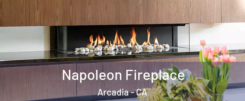  Napoleon Fireplace Arcadia - CA